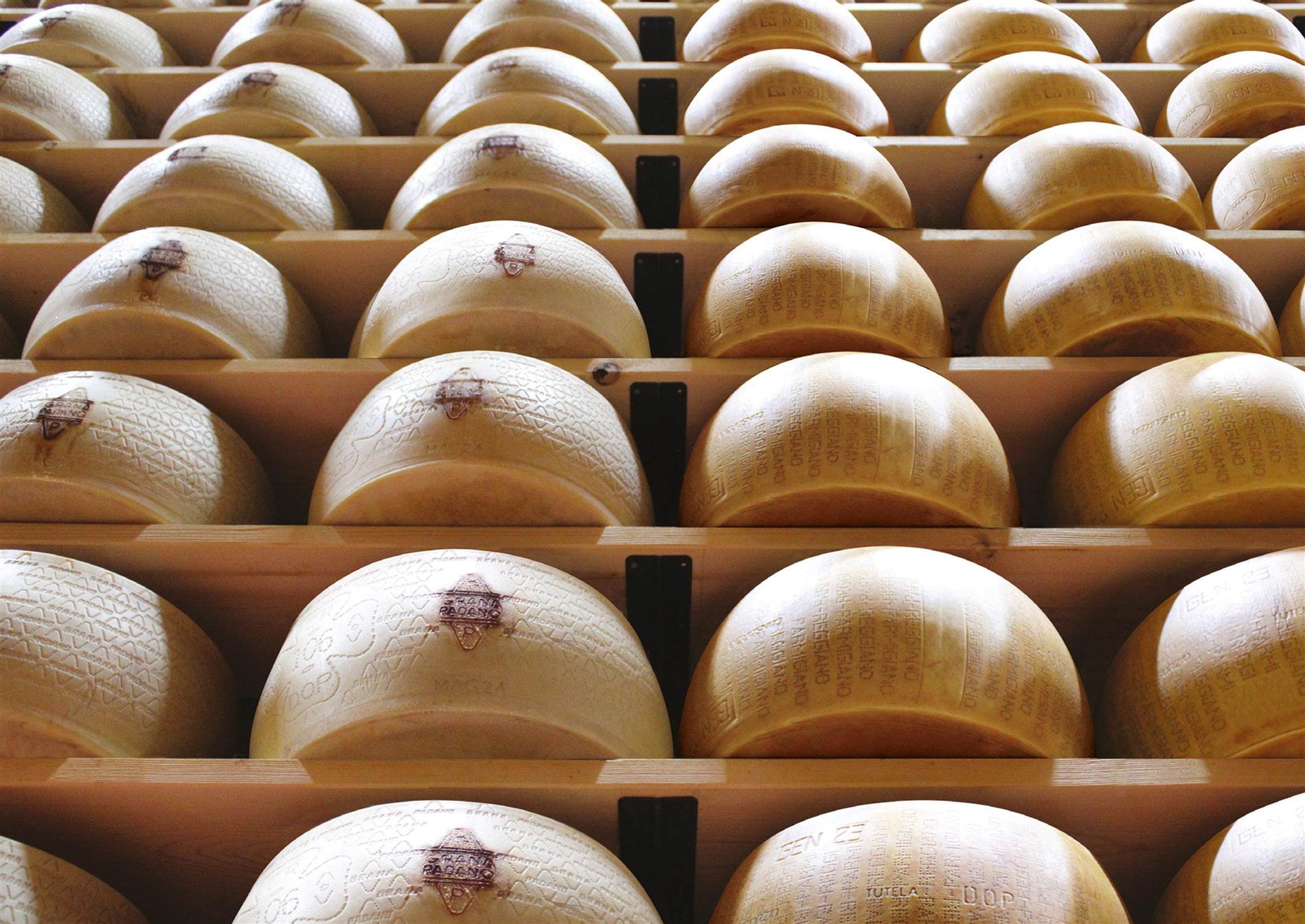 Catálogo Fattorie Cremona — página 12